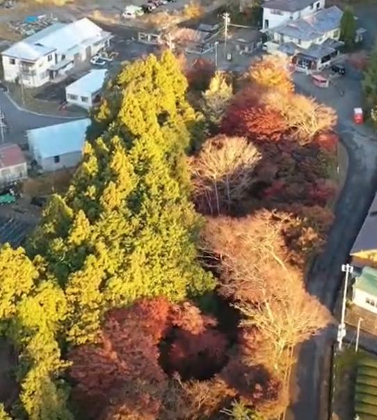 水沢もみじ谷　ドローン撮影